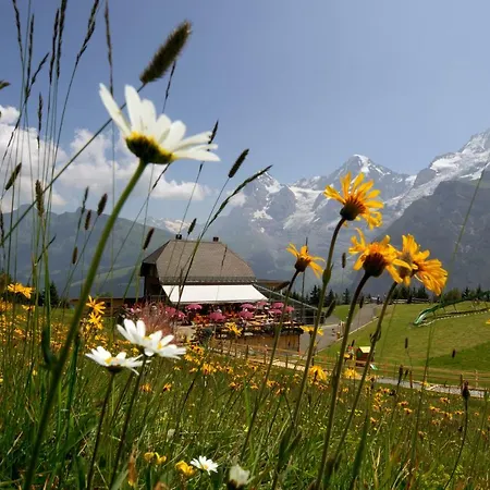 Riverholiday Appartement